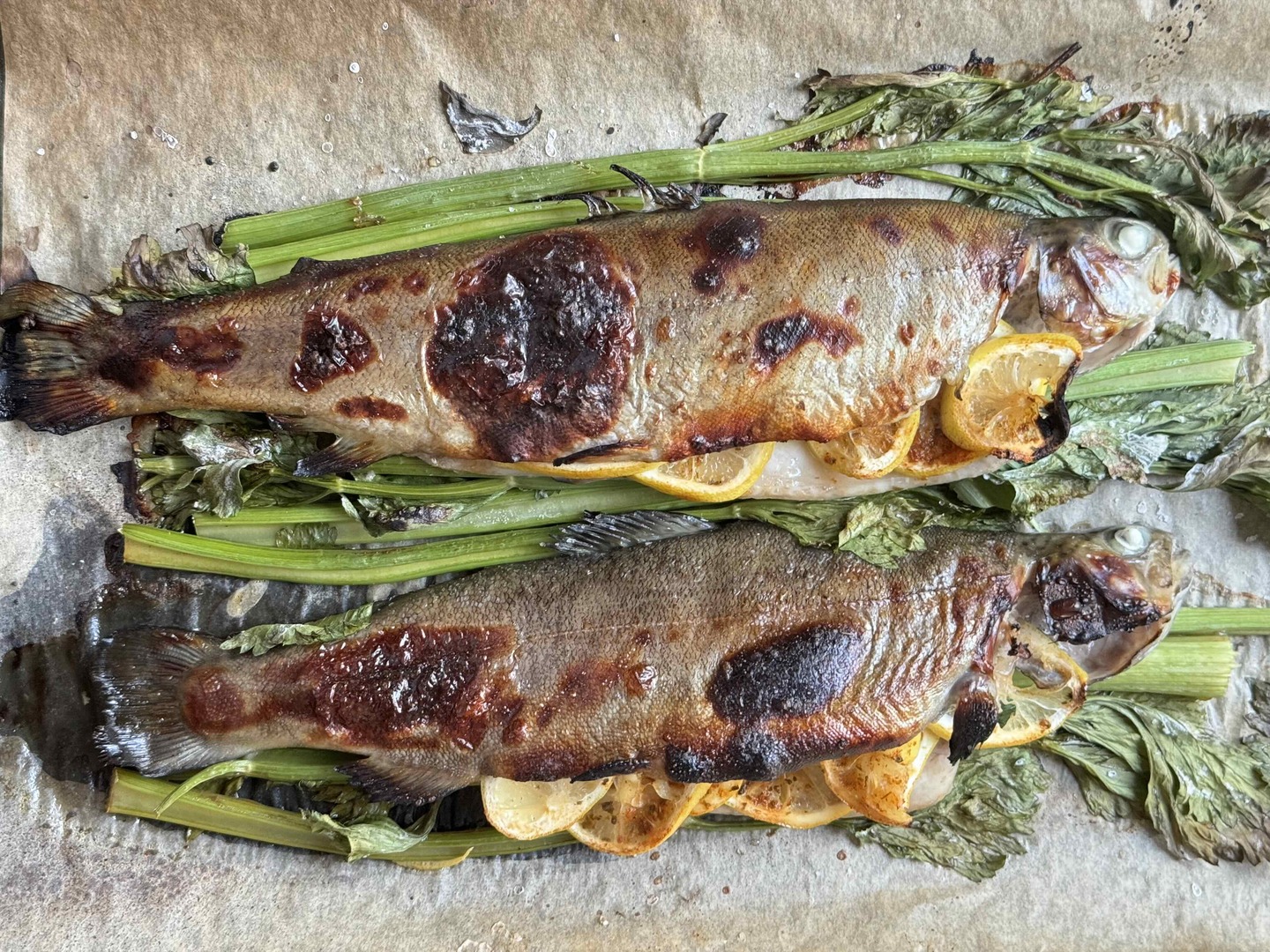 Baked Trout with Lemon, Celery, and Honey Soy Glaze