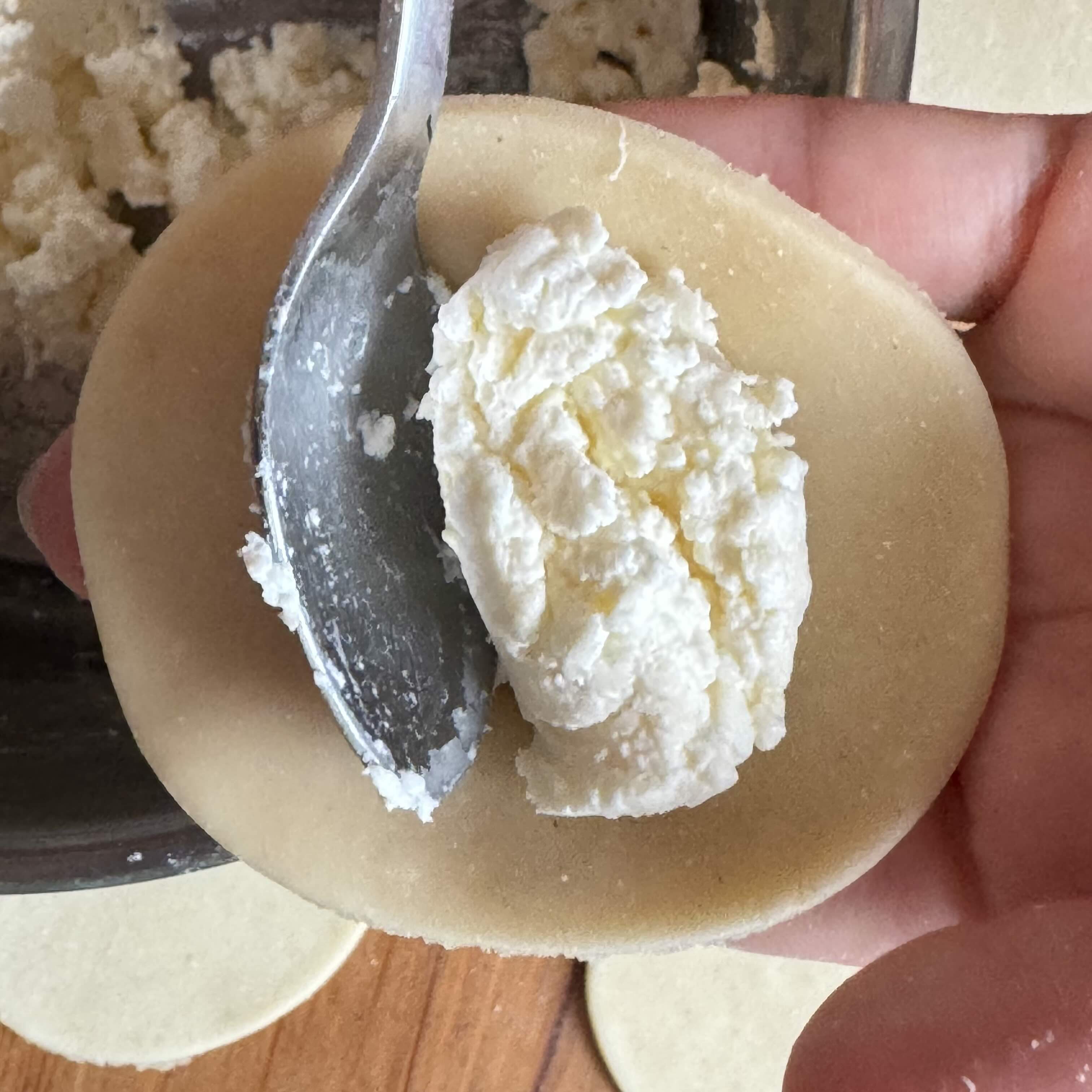 Blanks and cottage cheese for dumplings