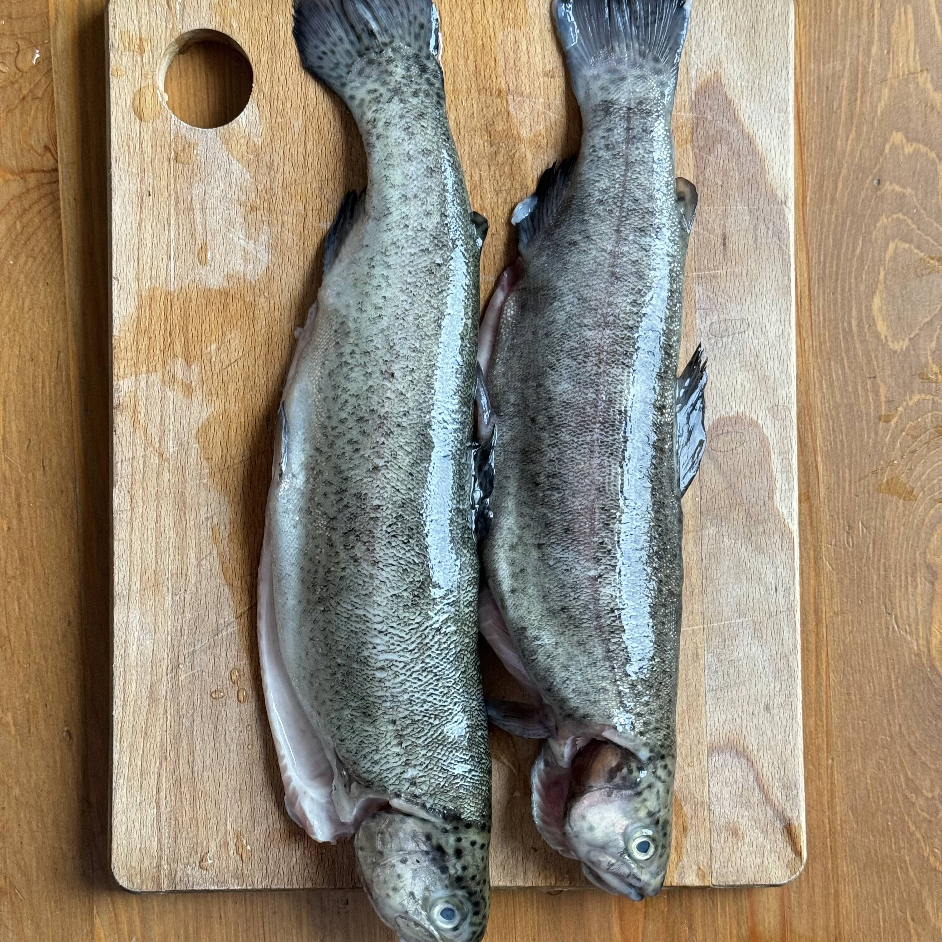 Fresh trout