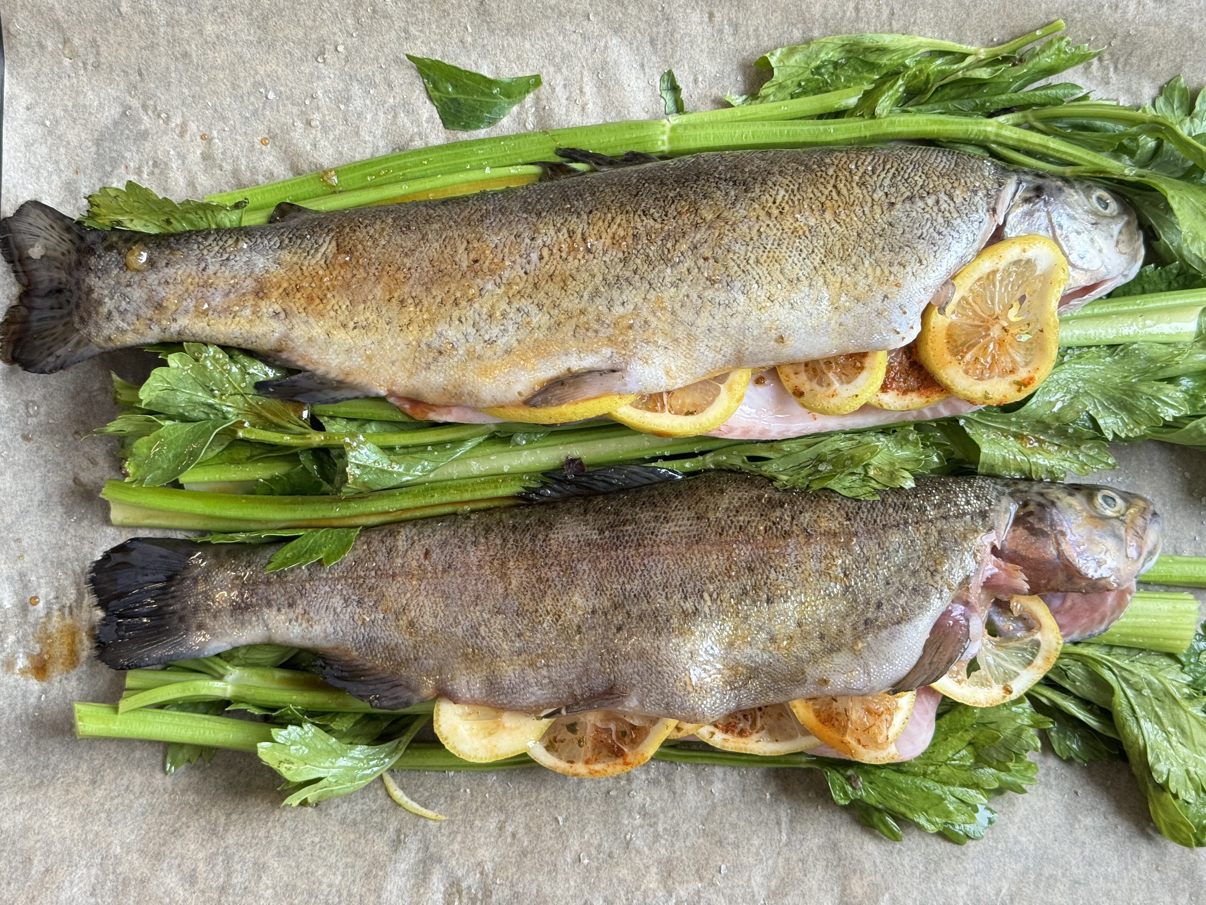 Glazed trout sprinkled with lemons and spices