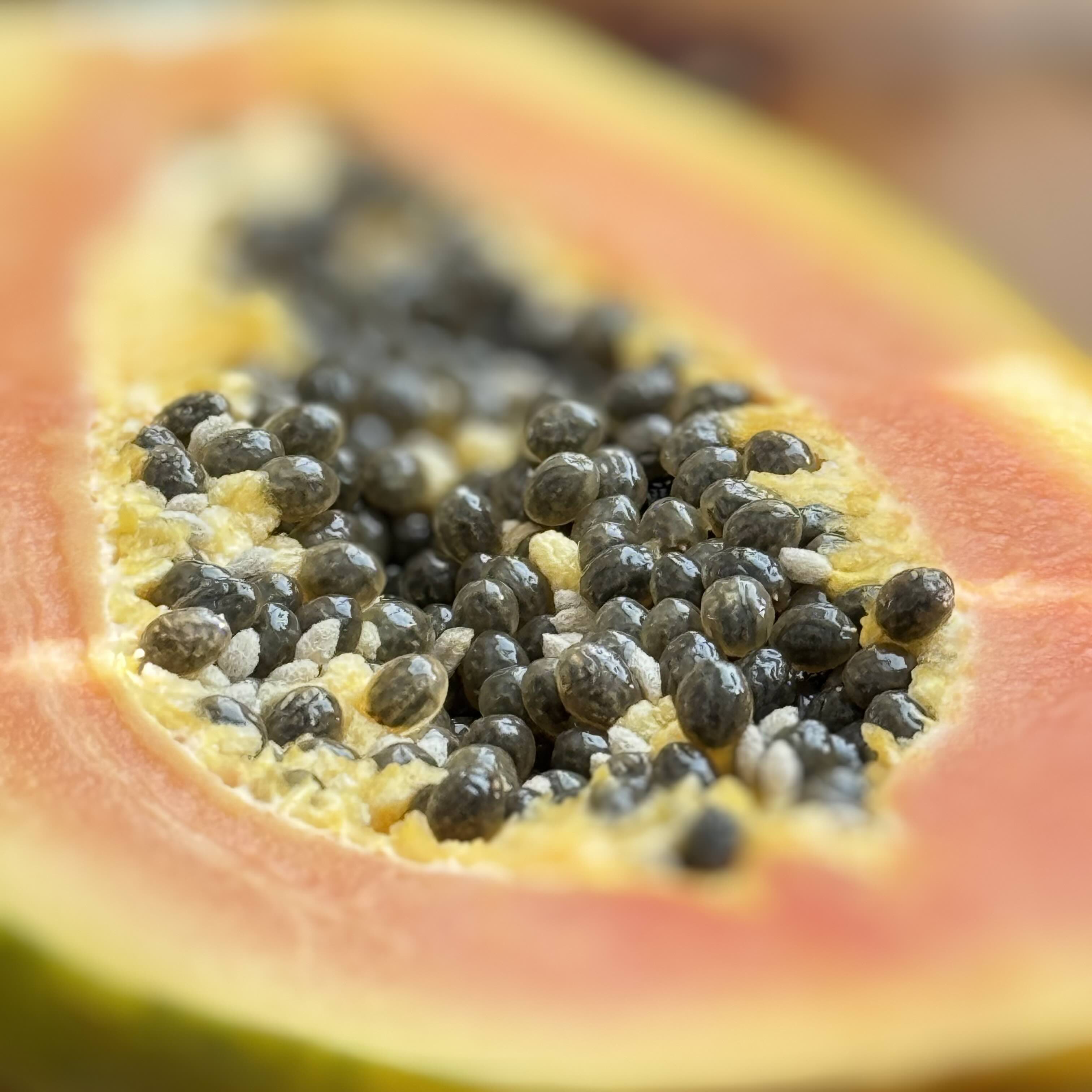 Papaya for Salad with Avocado, Pine Nuts, and Fresh Mint