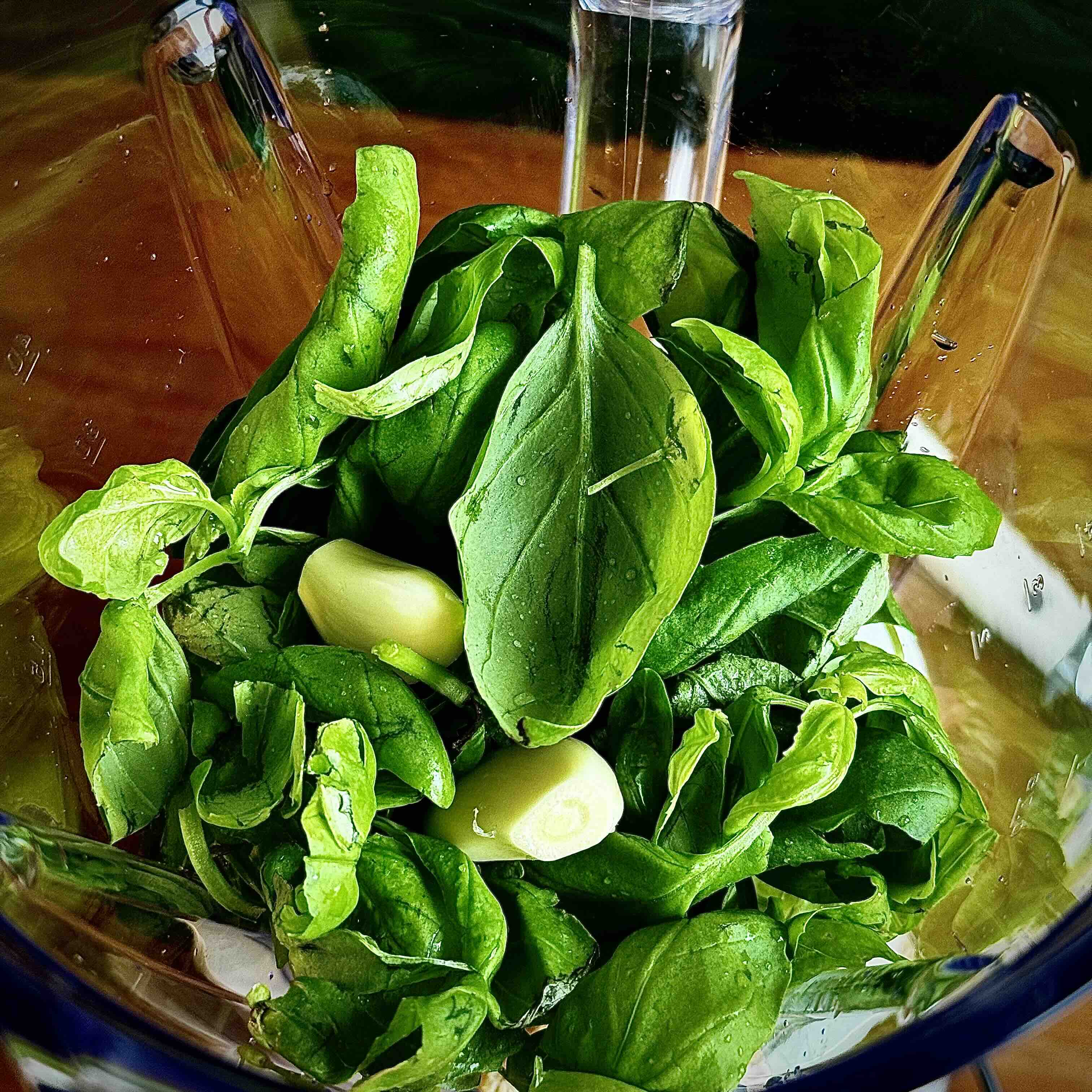 Basil and ingredients for pesto